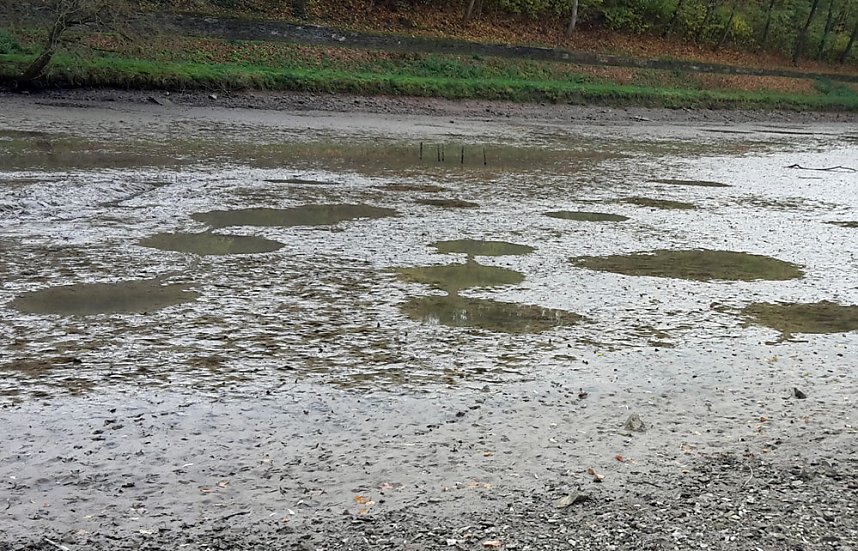 Blutspendetermine, Parkteich und Lampionumzug