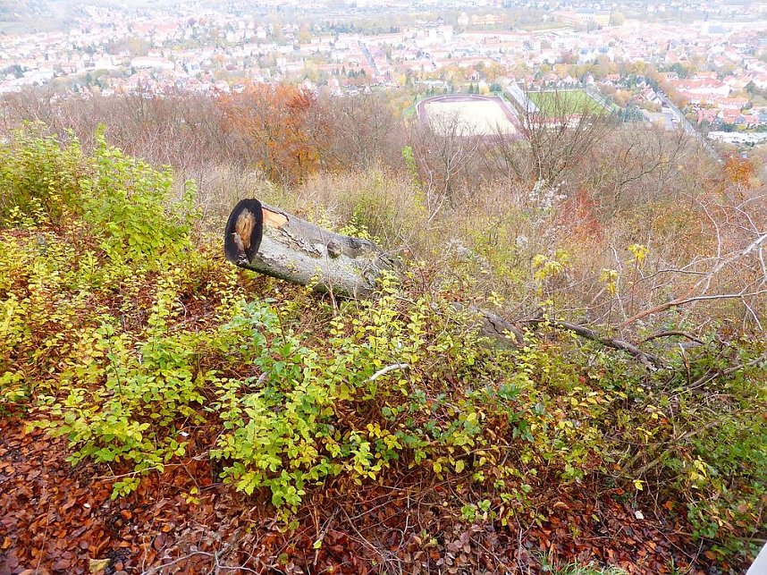 Der Possen- sch&ouml;n zu jeder Jahreszeit