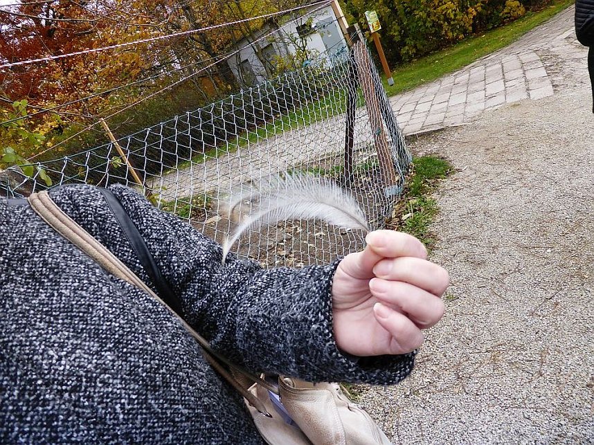 Der Possen- sch&ouml;n zu jeder Jahreszeit