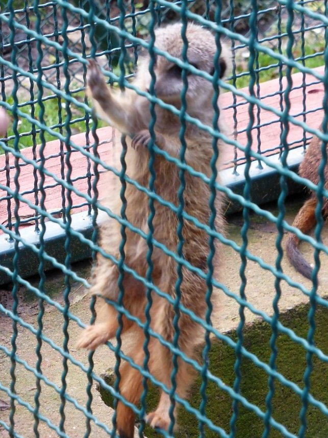 Der Possen- sch&ouml;n zu jeder Jahreszeit