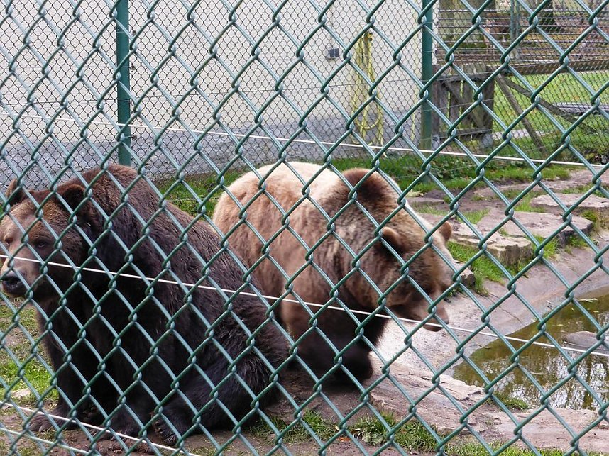 Der Possen- sch&ouml;n zu jeder Jahreszeit