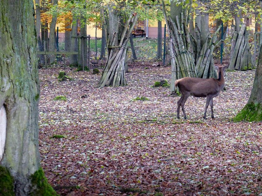 Der Possen- sch&ouml;n zu jeder Jahreszeit
