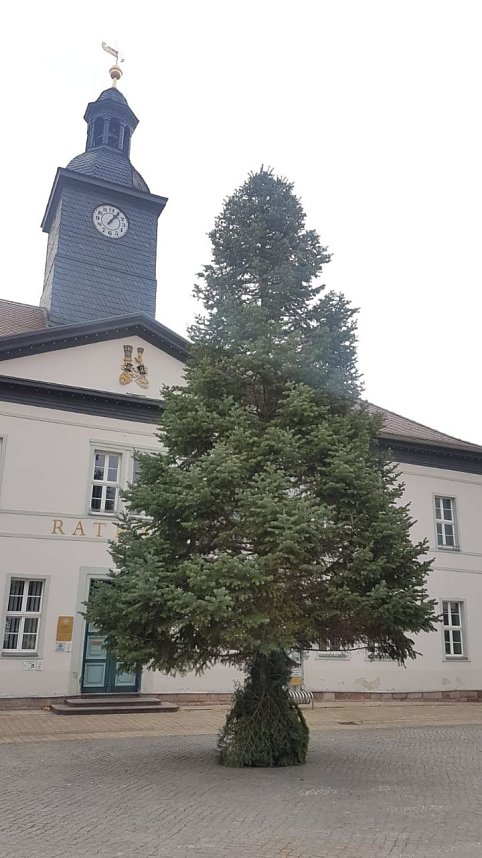 Weihnachtsmeldungen Bad Frankenhausen aktuell