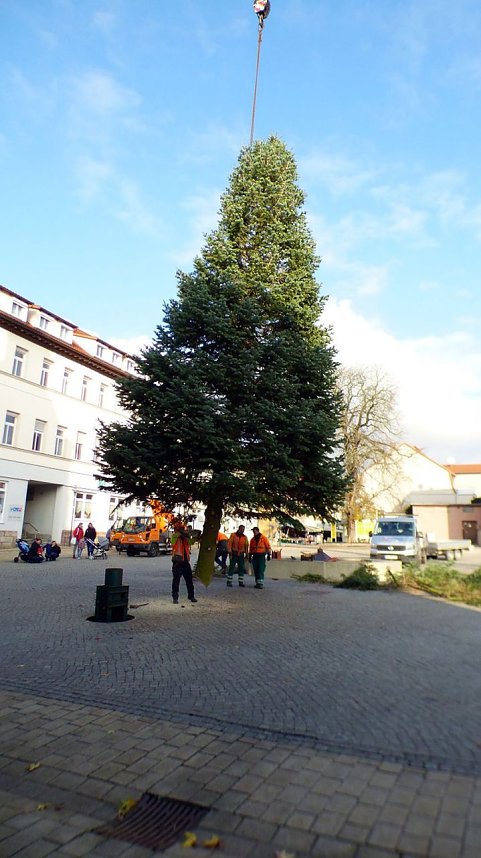 Weihnachtsmeldungen Bad Frankenhausen aktuell