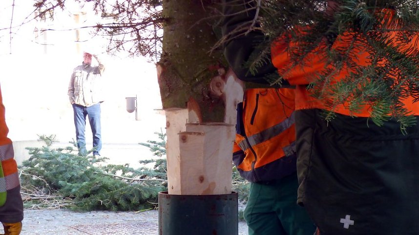Weihnachtsmeldungen Bad Frankenhausen aktuell