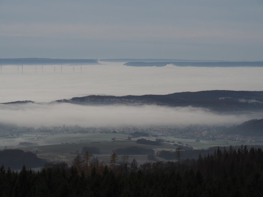 Blick vom Poppenbergturm 