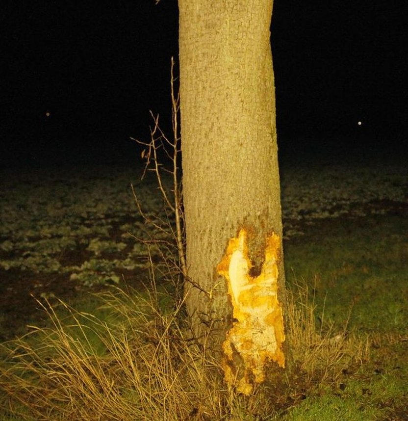 Rentnerin mit Auto gegen Baum geprallt