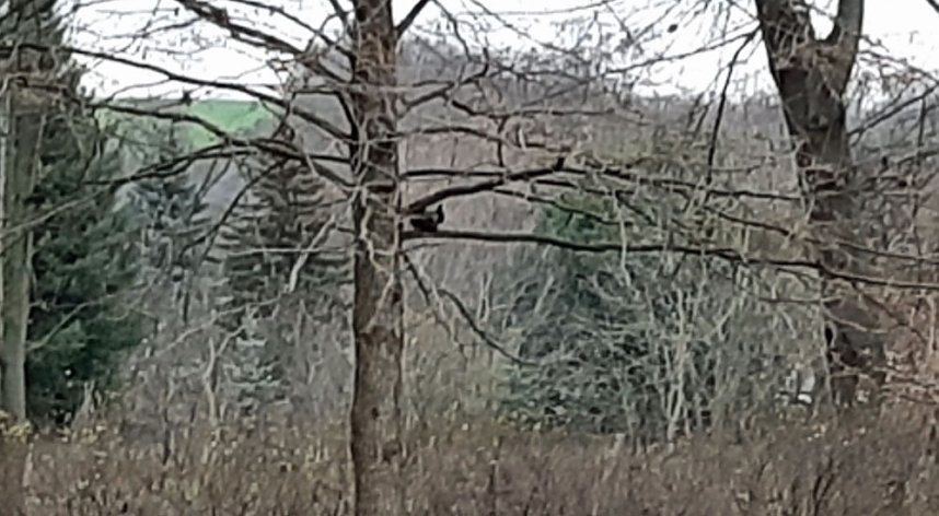 Kurzmeldungen aus Sondershausen