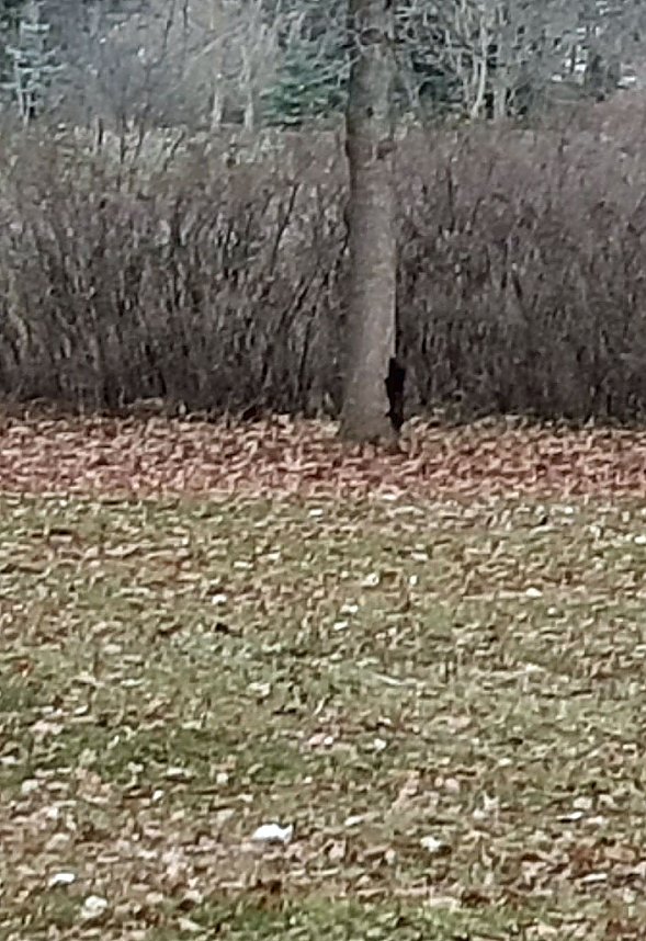 Kurzmeldungen aus Sondershausen