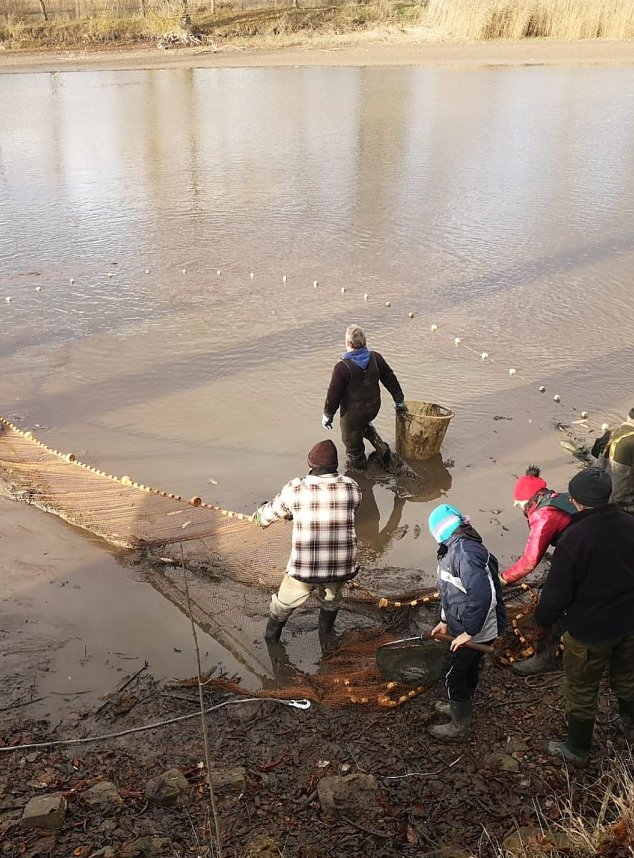 Hammateich abgefischt