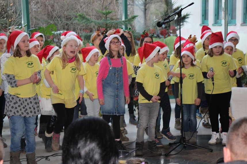 Weihnachtskonzert in der Franzbergschule