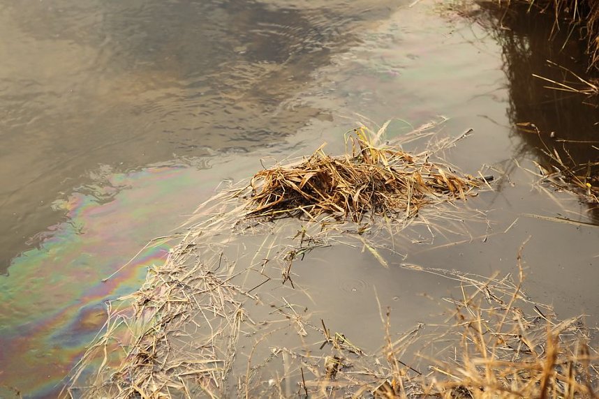 Weihnachtsessen fiel aus