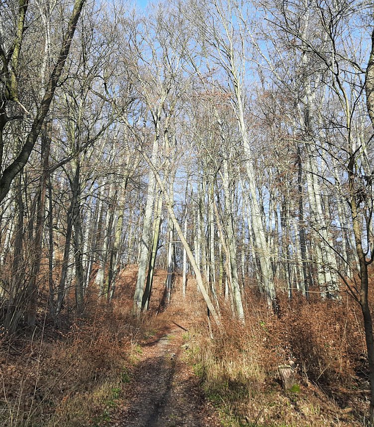 Betreten immer auf eigene Gefahr