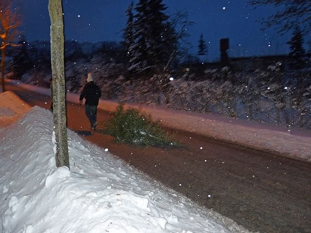 Knutfest Jechaburg Sondershausen