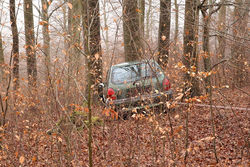 auto im Wald
