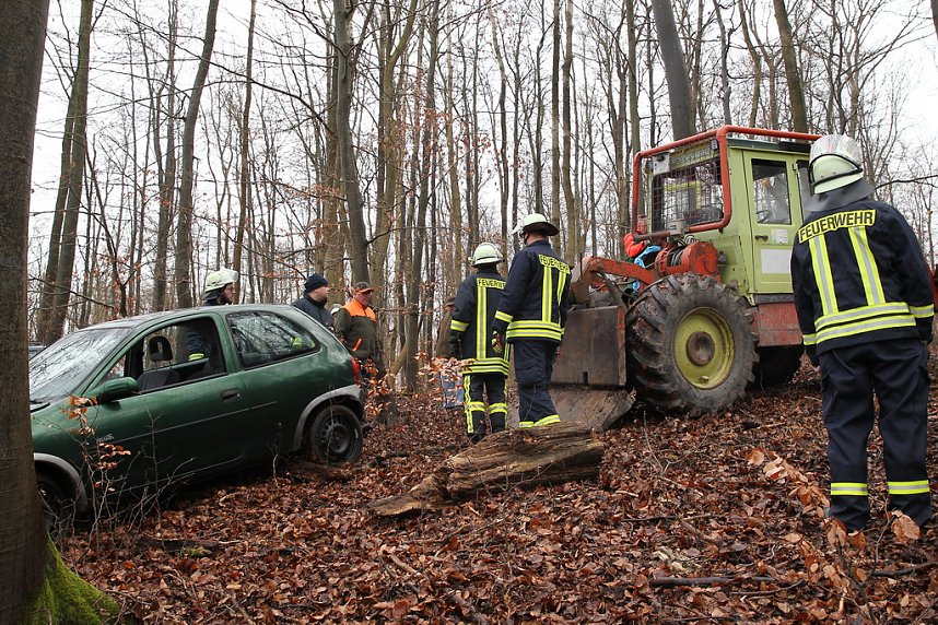 auto im Wald