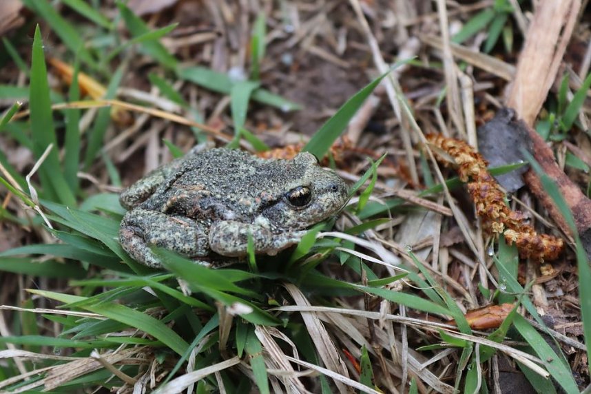 Natura 2000-Station erh&auml;lt wertvolle Lebensr&auml;ume
