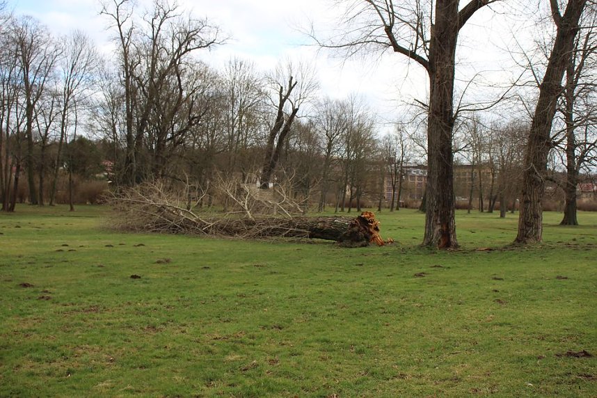 Sanierungskonzept f&uuml;r Schlosspark n&ouml;tig?