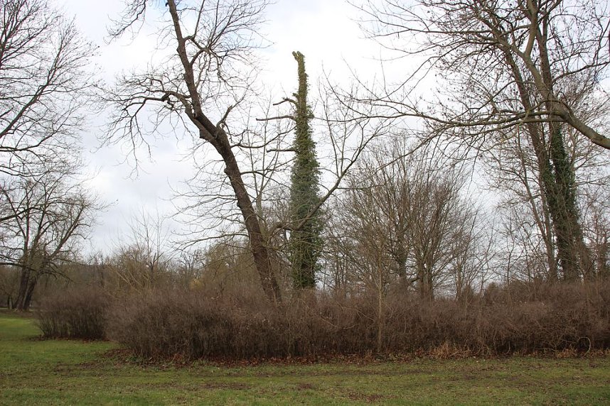 Sanierungskonzept f&uuml;r Schlosspark n&ouml;tig?