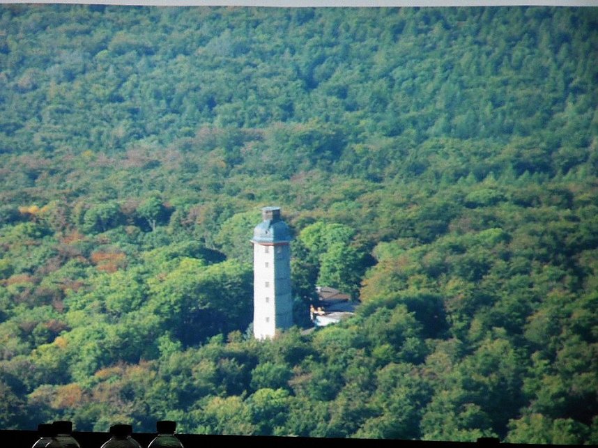Die W&auml;lder der Hain- und Windleite
