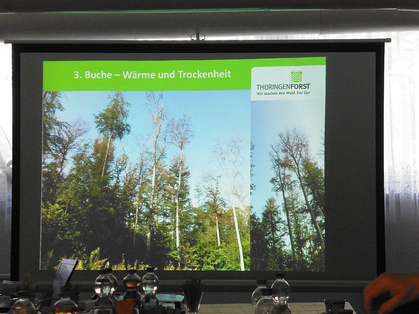 Die W&auml;lder der Hain- und Windleite