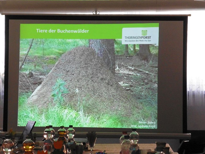 Die W&auml;lder der Hain- und Windleite
