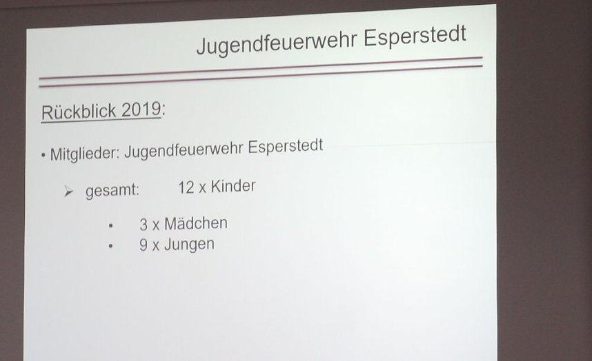 Gemeinsame Jahreshauptversammlung der FFW Bad Frankenhausens