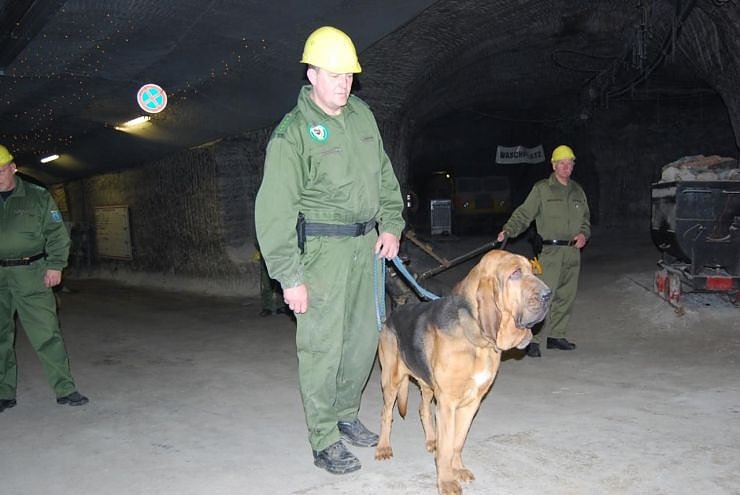 Salzstaub gesch&uuml;ffelt
