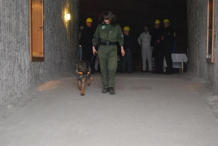 Salzstaub gesch&uuml;ffelt