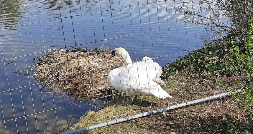 Dies und das aus Sondershausen