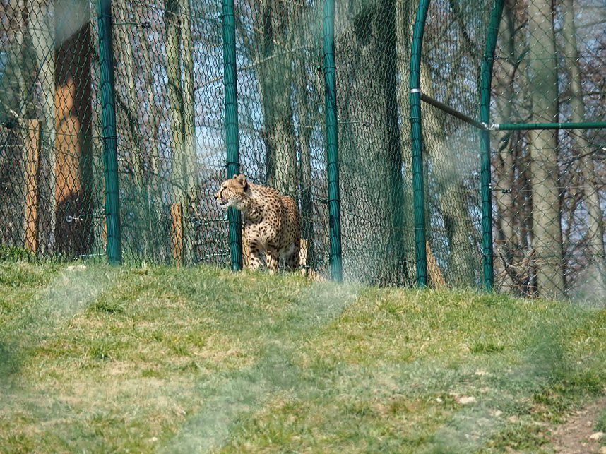 Besuch auf dem Possen