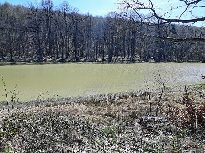 Schlechte Karten f&uuml;r die Kr&ouml;ten