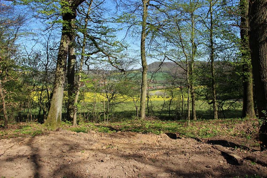 Sanierter Forstweg &uuml;bergeben