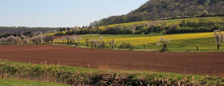 Neuer Radweg nimmt Form an