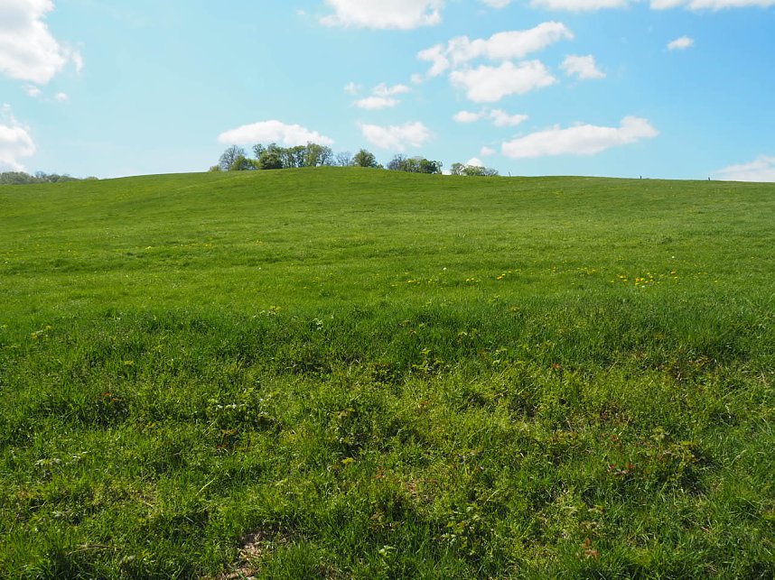 Wandern am Stausee Kelbra