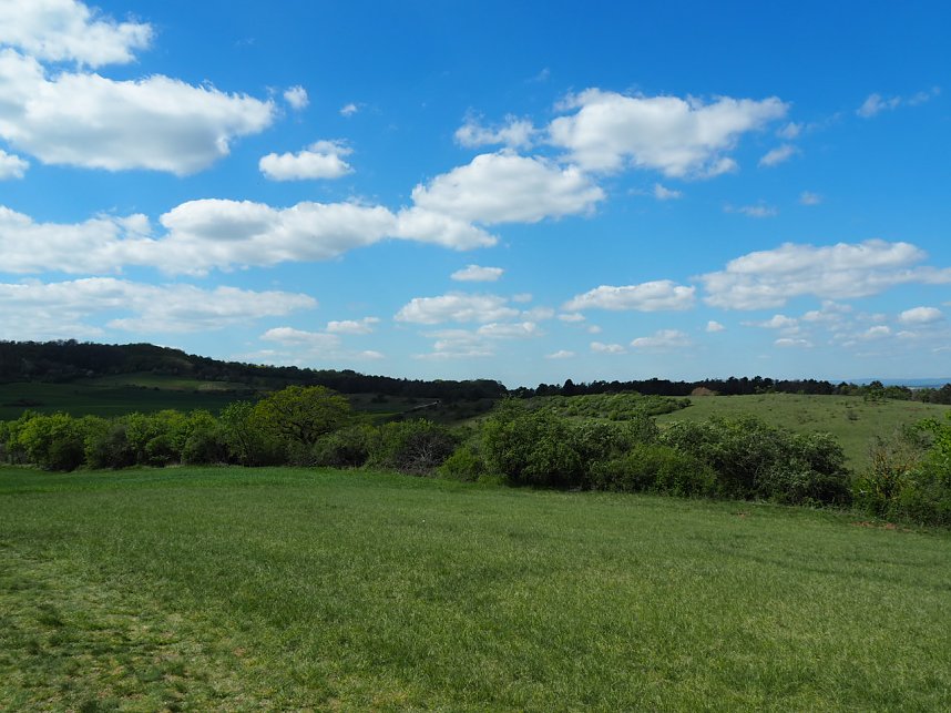 Wandern am Stausee Kelbra