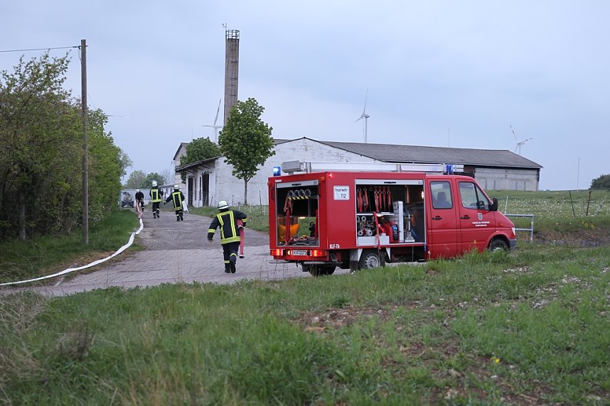 Rauch in Schweinestall