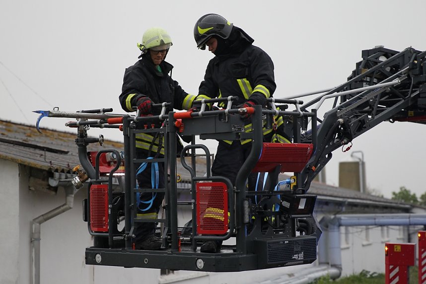 Rauch in Schweinestall