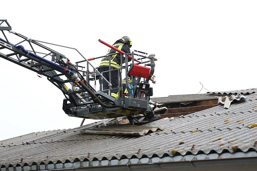 Rauch in Schweinestall