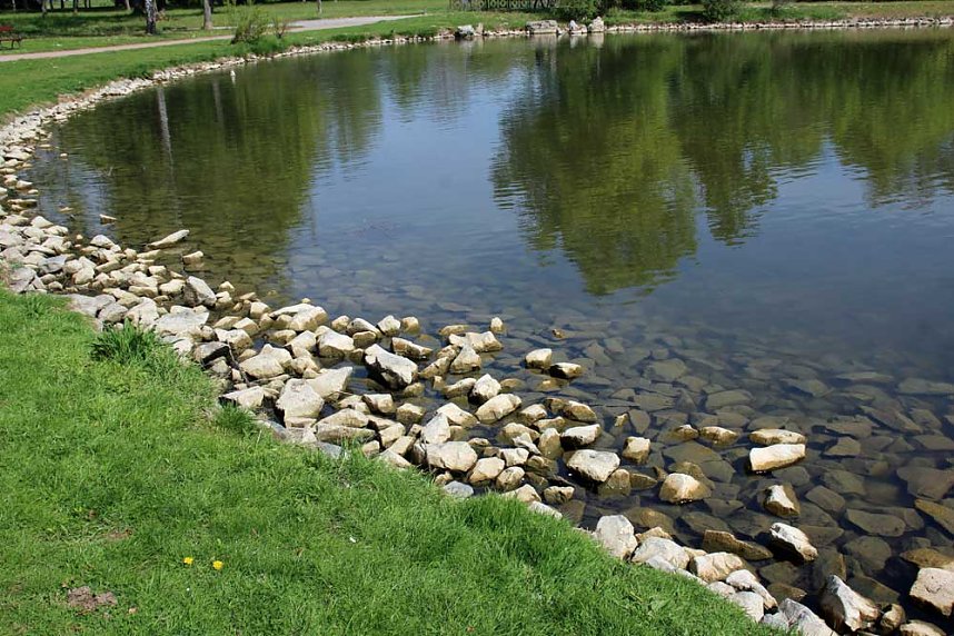 Den Parkteichen von Sondershausen fehlt (e) das Wasser