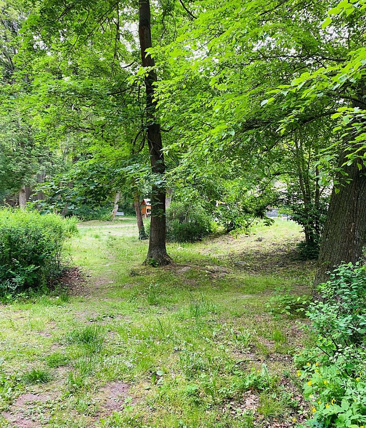 Angebot wird f&uuml;r j&uuml;ngere Kinder im Stadtpark erweitert