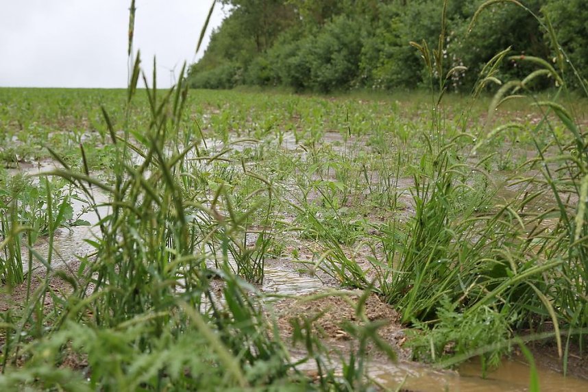 Dauerregen ruft Feuerwehren auf den Plan