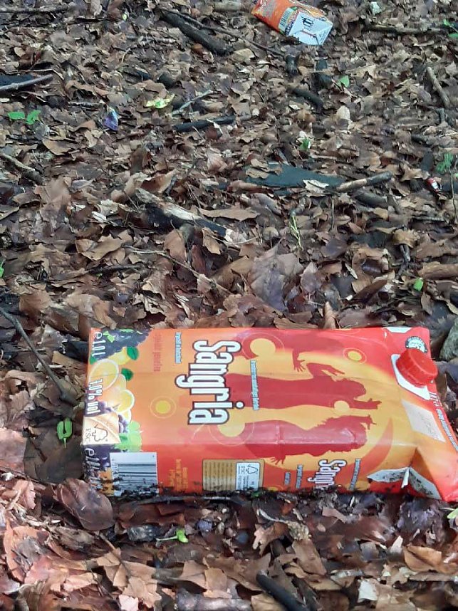 Verm&uuml;llung im Wald