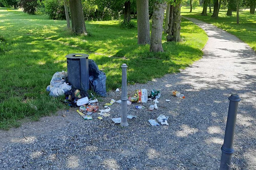 Aus den Beschl&uuml;ssen des Stadtrats