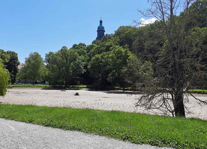 Aus den Beschl&uuml;ssen des Stadtrats