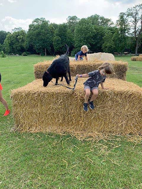 Strohspielplatz mit Wolf und Hase