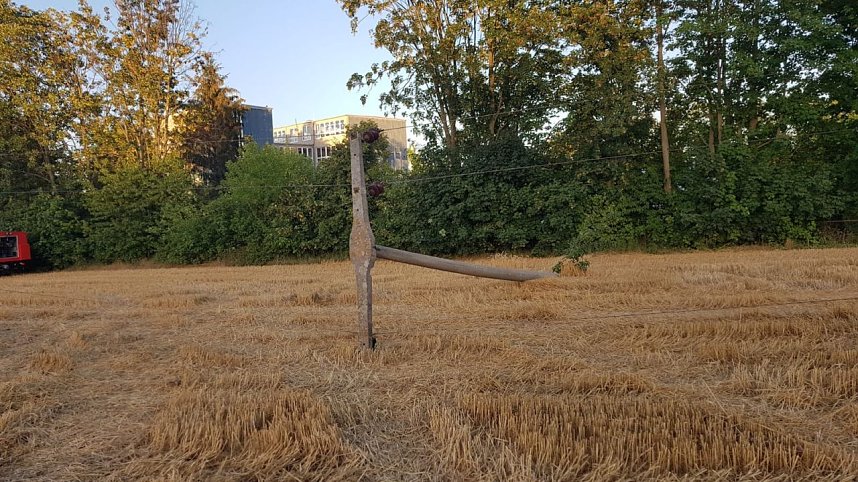 Feldbrand auch im Kyffh&auml;userkreis