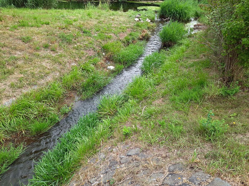Fernsehen an der Kiesgrube und mehr