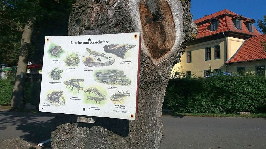 Unterwegs mit dem Verband der Behinderten