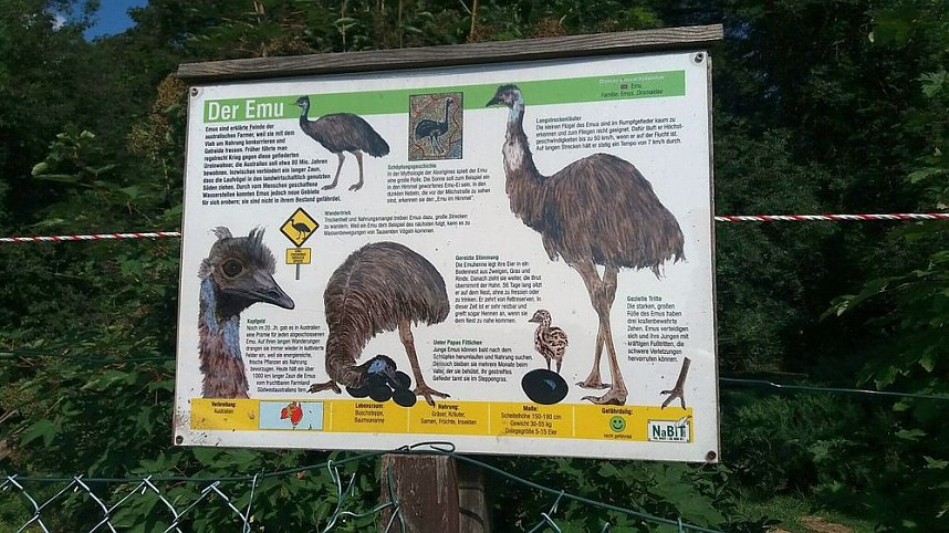 Unterwegs mit dem Verband der Behinderten